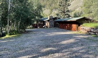 209 Deer Path Ln, Almont, CO 81230