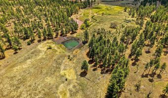 28 County Road 2310, Alpine, AZ 85920