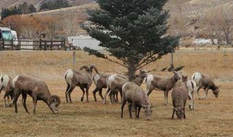 24230 Hwy 75, Challis, ID 83226
