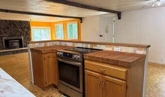 5480 Challis Creek Rd, Challis, ID 83226