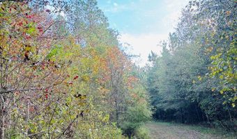 644 Ash-Harrel Loop, Abbeville, GA 31001