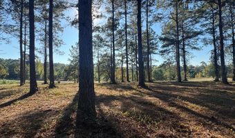Lot 8 Mountain View Way, Bainbridge, GA 39819