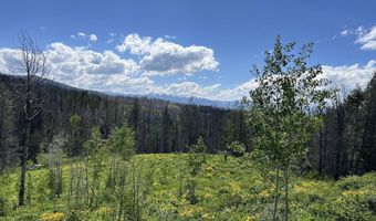 DEER HAVEN 40 AC Road, Bondurant, WY 82922