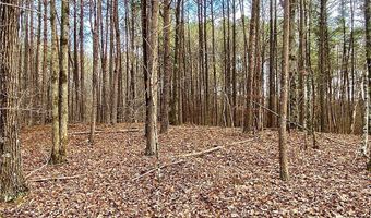 8648 Groundhog Rd, Adger, AL 35006