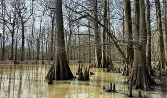 Putnam Road, Belzoni, MS 39038