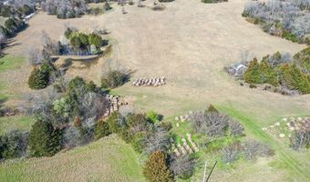 6738 County Road 429, Ava, MO 65608