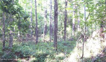 330 County Road 245, Abbeville, MS 38601