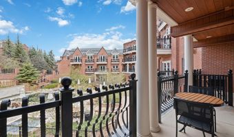 415 E Dean St Unit 24 Week 7, Aspen, CO 81611