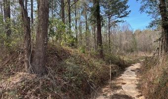 Conecuh River Church Rd, Andalusia, AL 36420
