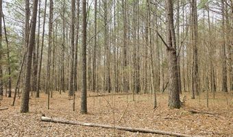 Zig Zag, Big Sandy, TN 38221