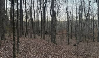 15548 Highway 15 N, Ackerman, MS 39735