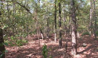 Tract 52 E 1885 Road, Antlers, OK 74523