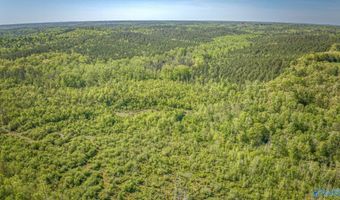 87 Acres Kay Hollis Rd, Beaverton, AL 35544