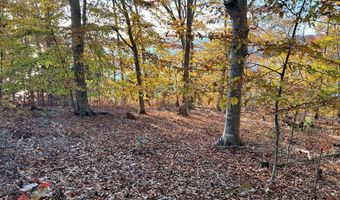 Lakefront Place, Baneberry, TN 37890