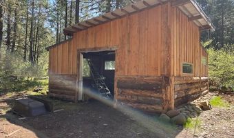54785 McKenzie River Dr, Blue River, OR 97413