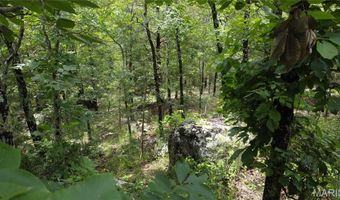 13 Hidden Vly Lks, Annapolis, MO 63620