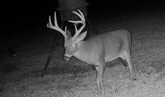 0 Hwy 14, Aliceville, AL 35442