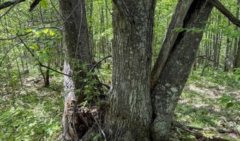 TBD Lot E Gratiot River, Allouez, MI 49805
