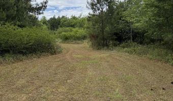 TBD Bumphead Road, Americus, GA 31719