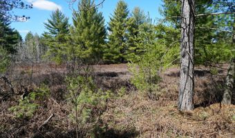 5840 Wildwood Rd, Alger, MI 48610