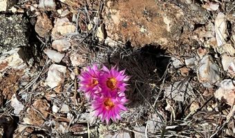 201 Cathedral Valley Rd, Ash Fork, AZ 86320
