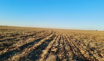 State Highway 214, Adrian, TX 79001