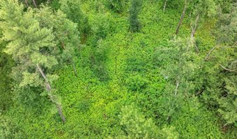 6974 WOODLAND Ln, Amherst, WI 54406