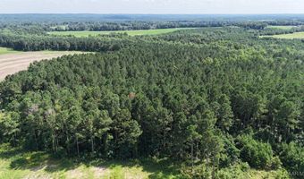 216 County Road 201, Ariton, AL 36010