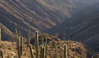 Unassigned S Tillys Trail, Black Canyon City, AZ 85324