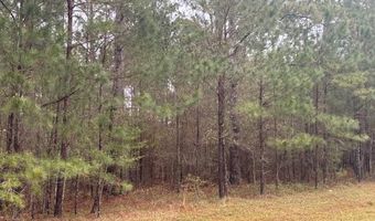 Lot 5 Jacquelyn Court, Bainbridge, GA 39819
