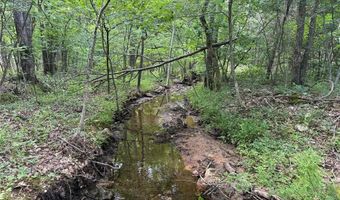Tract 3 Hidden Valley, Annapolis, MO 63628