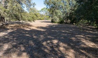 County Road 236 lot 2, Bell, FL 32619