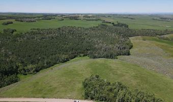 N 4600 E, Ashton, ID 83420