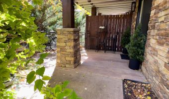 119 E Cooper Ave #5, Aspen, CO 81611