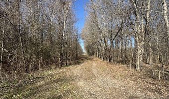 6075 Curtis Rd, Batesville, MS 38606