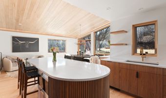 120 Turtle Cv, Aspen, CO 81611