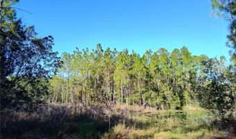 SMITH STREET, Astor, FL 32102
