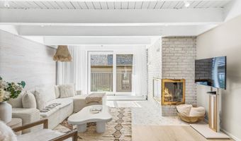 901 E Hyman Ave 14, Aspen, CO 81611