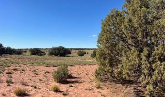 004 N9027, Concho, AZ 85924