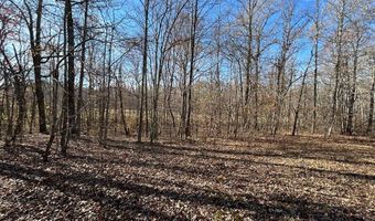 OFF OF SULPHUR CREEK RD, Big Sandy, TN 38221