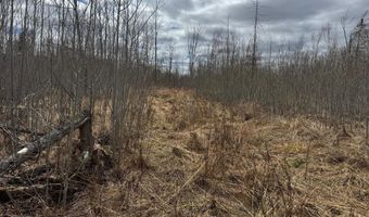TBD40 Township Road 5743, Alborn, MN 55702