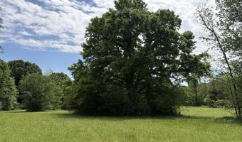 N Osborntown Rd, Arlington, TN 38002