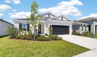 6196 HIDDEN BRANCH Dr, Apollo Beach, FL 33572