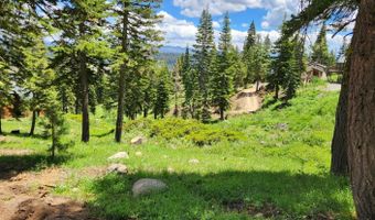 332 Snowshoe Rd, Bear Valley, CA 95223