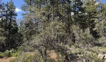 Thunder Bear Road, Bonanza, OR 97623