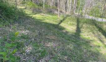 0 Martins Creek Rd, Barnardsville, NC 28709