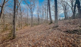 Tbd Admirals Point, Climax Springs, MO 65324