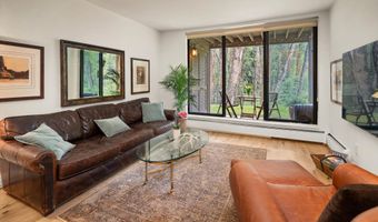 412 Vine St, Aspen, CO 81611