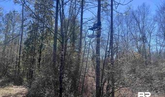 9 Robinsonville Rd, Atmore, AL 36502