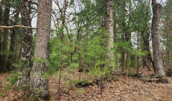 Dyke Avenue lot 8, Adams, WI 53910